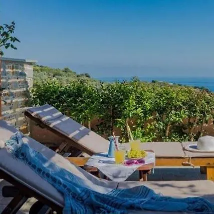 Alegria * Skopelos Town